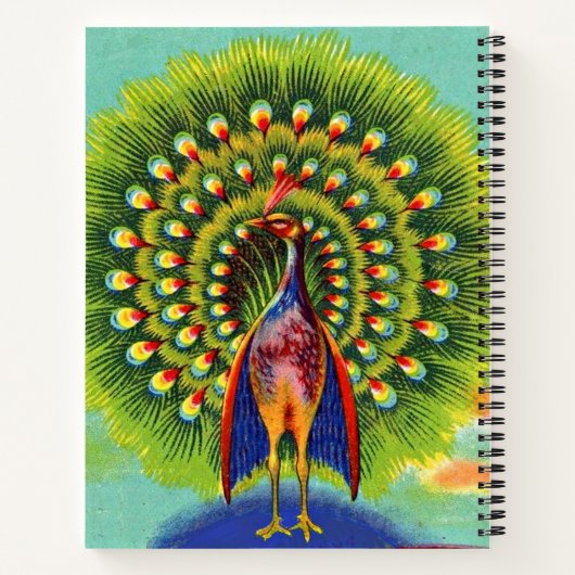 leuke pauw-afdruk notitieboek (Achterkant)