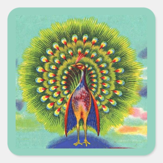 leuke pauw-afdruk vierkante sticker (Voorkant)