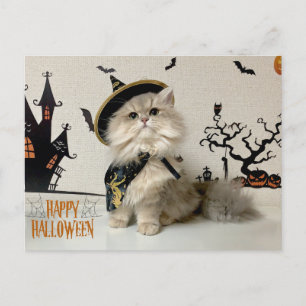 Leuke Perzische Kat in Halloween Kostuum Feestdagenkaart