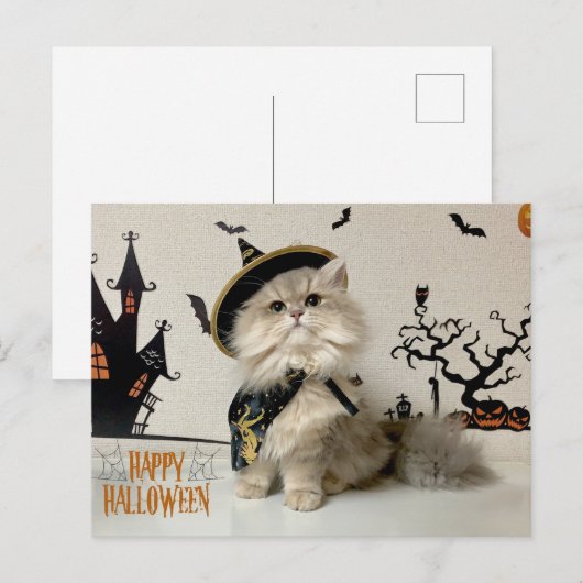 Leuke Perzische Kat in Halloween Kostuum Feestdagenkaart (Voorkant / Achterkant)