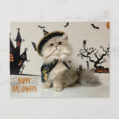 Leuke Perzische Kat in Halloween Kostuum Feestdagenkaart (Voorkant)