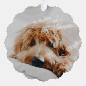 Leuke Pet Paw Print Ondeugende foto Kerstvakantie Ornament Kaart (Achterkant)