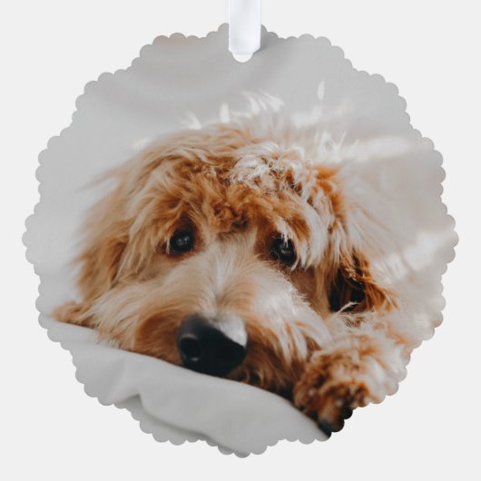 Leuke Pet Paw Print Ondeugende foto Kerstvakantie Ornament Kaart (Achterkant)