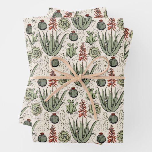 Leuke Plant Lover Aloë Vera Planten Succulents Cac Inpakpapier Vel (In situ)