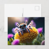 Leuke pluizige spin, Postcrossing Briefkaart (Voorkant / Achterkant)