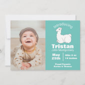 Leuke pluizige witte lama geboorte aankondiging (Voorkant)