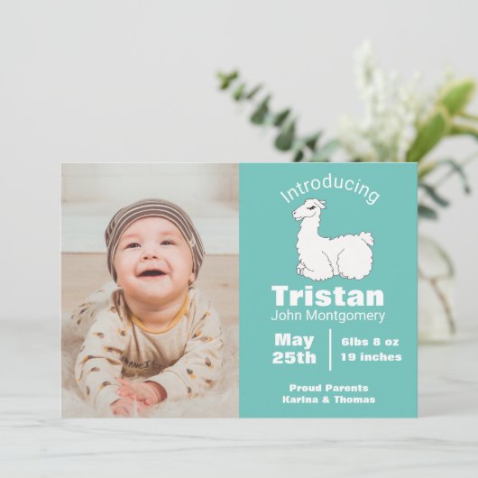 Leuke pluizige witte lama geboorte aankondiging (Staand voorkant)
