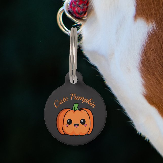 Leuke pompoen huisdier tag huisdierpenning (Cute Pumpkin Pet Tag)
