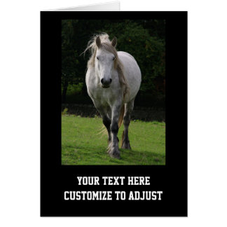 Leuke pony foto