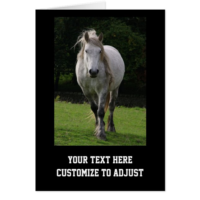 Leuke pony foto (Voorkant)