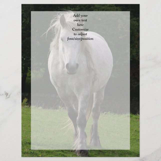 Leuke pony foto (Voorkant)