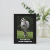 Leuke pony foto briefkaart (Staand voorkant)