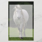 Leuke pony foto briefpapier (Voorkant)