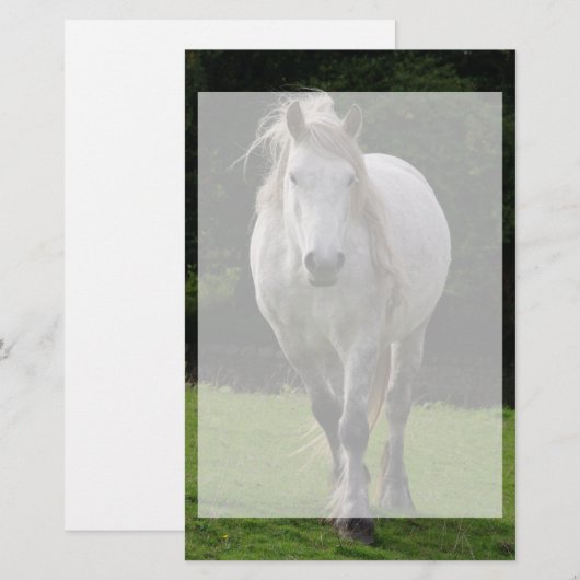 Leuke pony foto briefpapier (Voorkant / Achterkant)