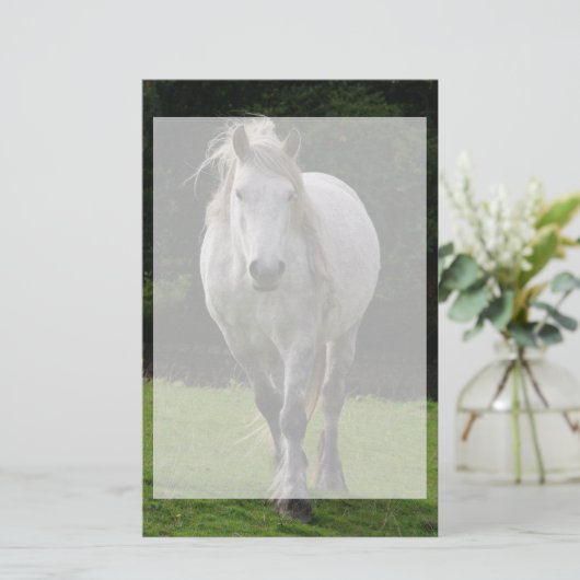 Leuke pony foto briefpapier (Staand voorkant)
