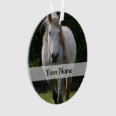 Leuke pony foto ornament (voorkant)