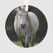 Leuke pony foto ornament (achterkant)