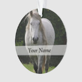 Leuke pony foto ornament (voorkant)