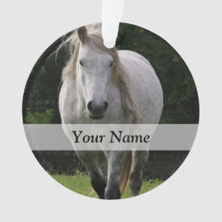 Leuke pony foto ornament