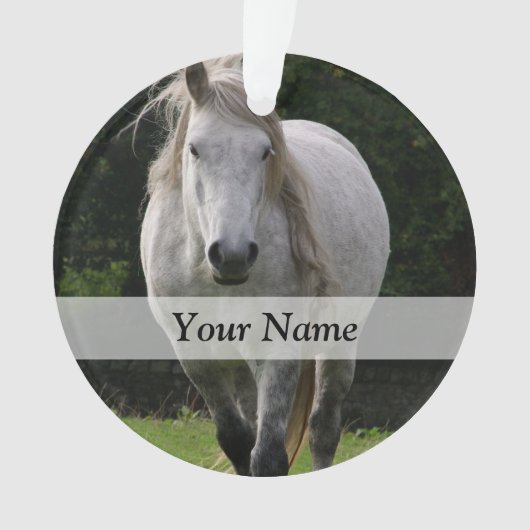 Leuke pony foto ornament (voorkant)