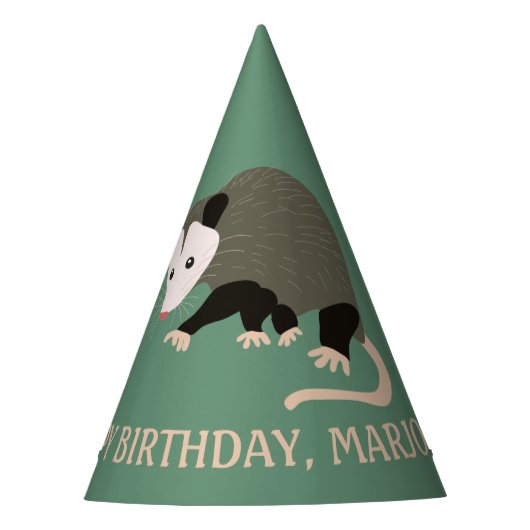 Leuke Possum illustratie Licht Groen Gepersonalise Feesthoedjes (Voorkant)