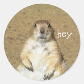 Leuke Prairie Dog Stickers (Voorkant)