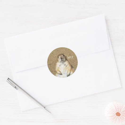 Leuke Prairie Dog Stickers (Envelop)