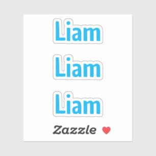 Leuke pret blauwe kindernaam sticker