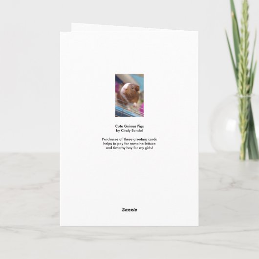 Leuke Proefkonijnen Kaart (Achterkant)