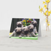 Leuke Pug de verjaardagskaart van het Puppy Kaart (Gele Bloem)