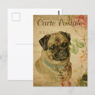  Leuke Pug Dog Briefkaart