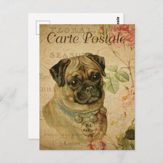  Leuke Pug Dog Briefkaart (Voorkant / Achterkant)