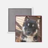 Leuke Puppy gezicht magneten (Voorkant / Achterkant)