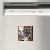 Leuke Puppy gezicht magneten (Insitu (Vaatwasser))