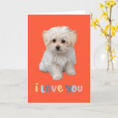 Leuke puppykaart, ik hou van je, schattige puppyka kaart (Gele Bloem)