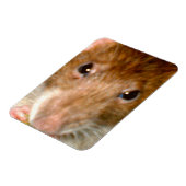 Leuke Rat Gezicht Premium Magnet Magneet (Linkerzijde)