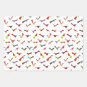 Leuke regenboogvogel inpakpapier vel (Voorkant)