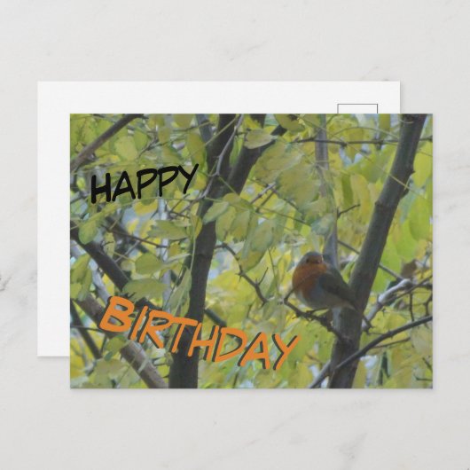 Leuke Robin in Tree Happy Birthday Briefkaart (Voorkant / Achterkant)