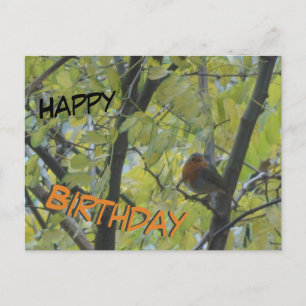 Leuke Robin in Tree Happy Birthday Briefkaart