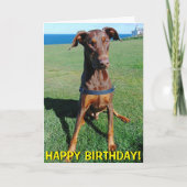 Leuke rode doberman verjaardagskaart kaart (Voorkant)
