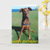Leuke rode doberman verjaardagskaart kaart (Gele Bloem)