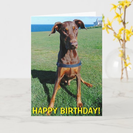 Leuke rode doberman verjaardagskaart kaart (Gele Bloem)