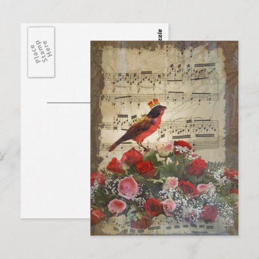 Leuke rode vogel & vintage muziekblad briefkaart (Voorkant / Achterkant)