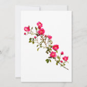 Leuke roze rozen tak met bloemen en knoppen  kaart (Achterkant)