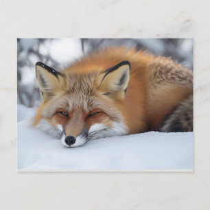 Leuke rustende vos winter dier briefkaart