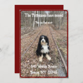 Leuke, rustieke hond met bewegende aankondigingska feestdagenkaart (Voorkant / Achterkant)