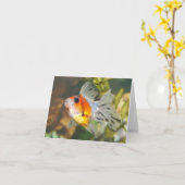 Leuke ryukin goudvis Note Kaarten (Gele Bloem)