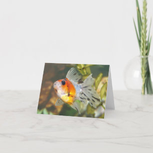 Leuke ryukin goudvis Note Kaarten