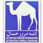 Leuke Saoedi-Arabië Kamelen Stop Sign sticker (Voorkant)
