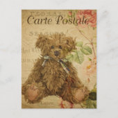 Leuke  Shaggy Teddy Bear Briefkaart (Voorkant)